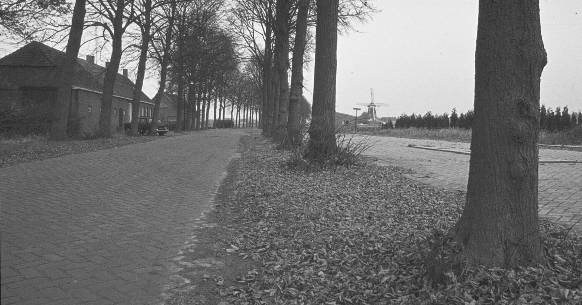 Oude Bredaseweg en Nieuw Wolfslaarlaan Erfgoedweb Breda